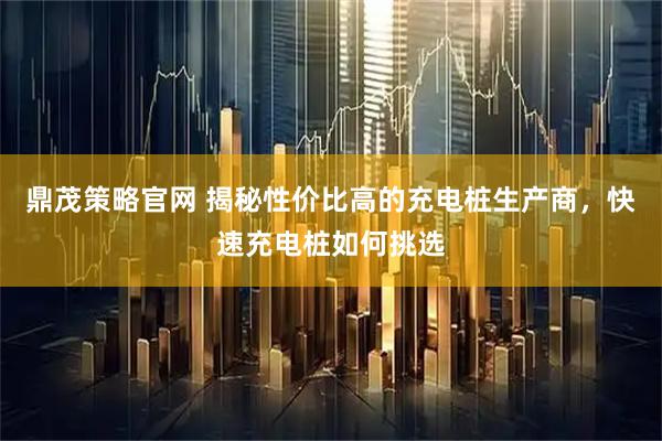 鼎茂策略官网 揭秘性价比高的充电桩生产商，快速充电桩如何挑选
